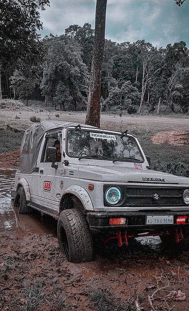 于根伟：今晚20：30直播，大家的各种问题、各种想知道的来吧